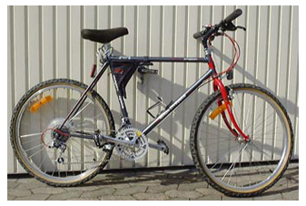 Koga Miyata Terra Runner