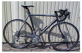 Sinus TeamRace